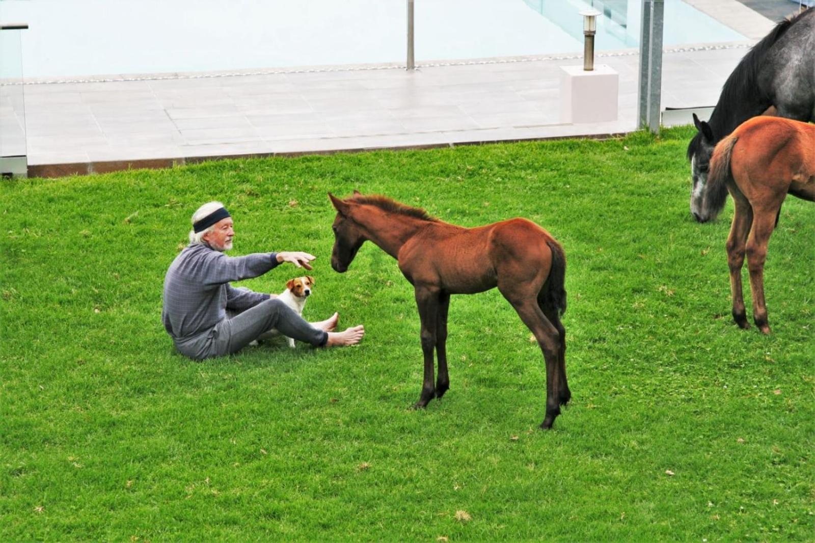 Tsitsikamma On Sea Resort Witelsbos Dış mekan fotoğraf