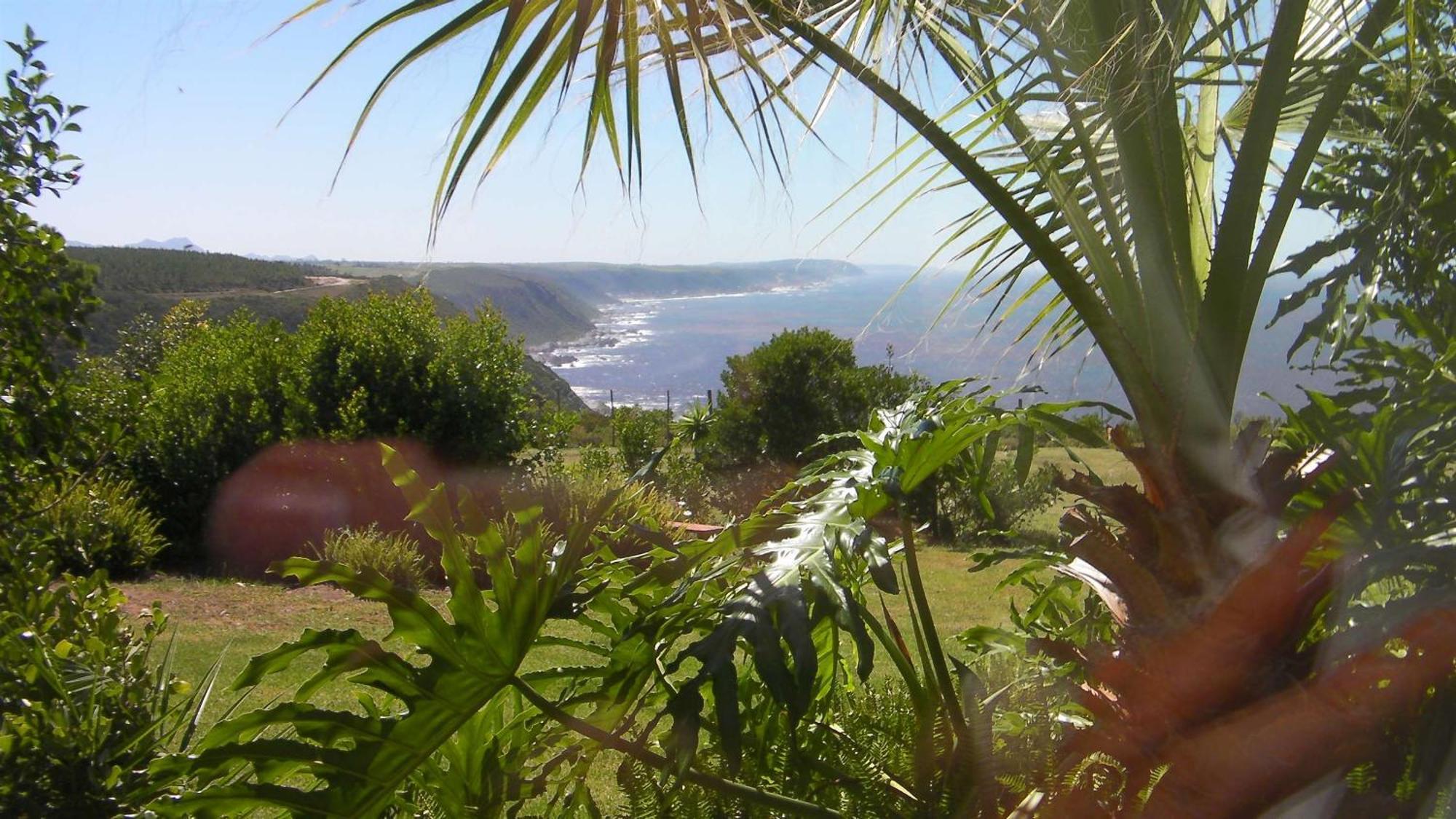 Tsitsikamma On Sea Resort Witelsbos Dış mekan fotoğraf